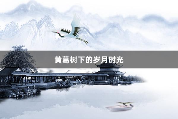 黄葛树下的岁月时光