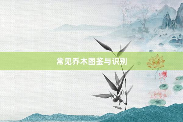 常见乔木图鉴与识别