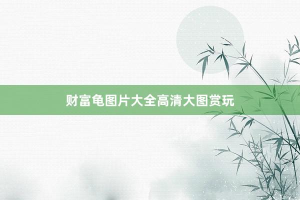 财富龟图片大全高清大图赏玩