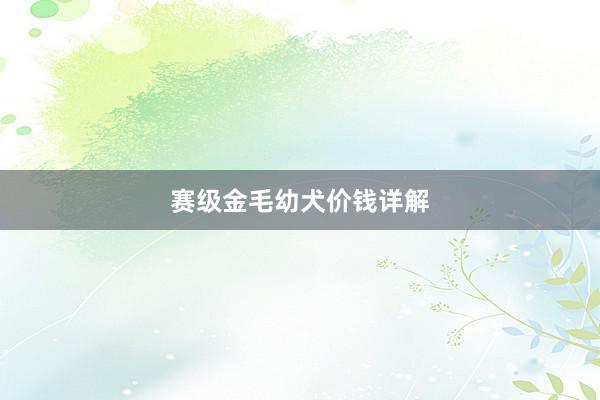 赛级金毛幼犬价钱详解